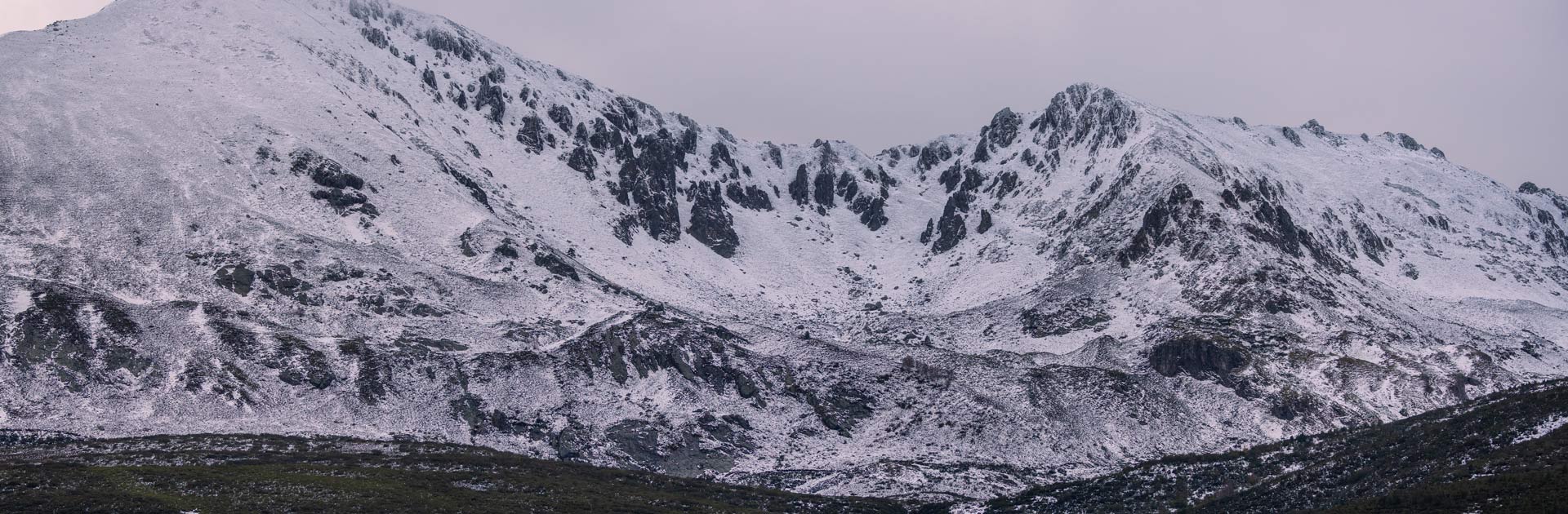 wildlife sighting in pirineos guides routes in spain nature trips