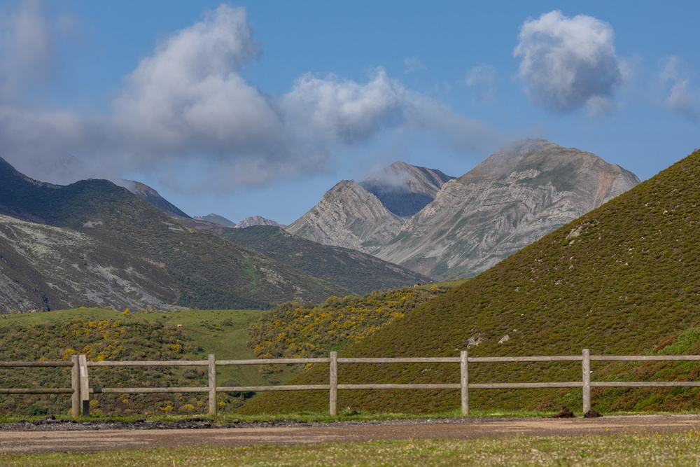 wildlife sighting in somiedo ecotourism safaris in spain